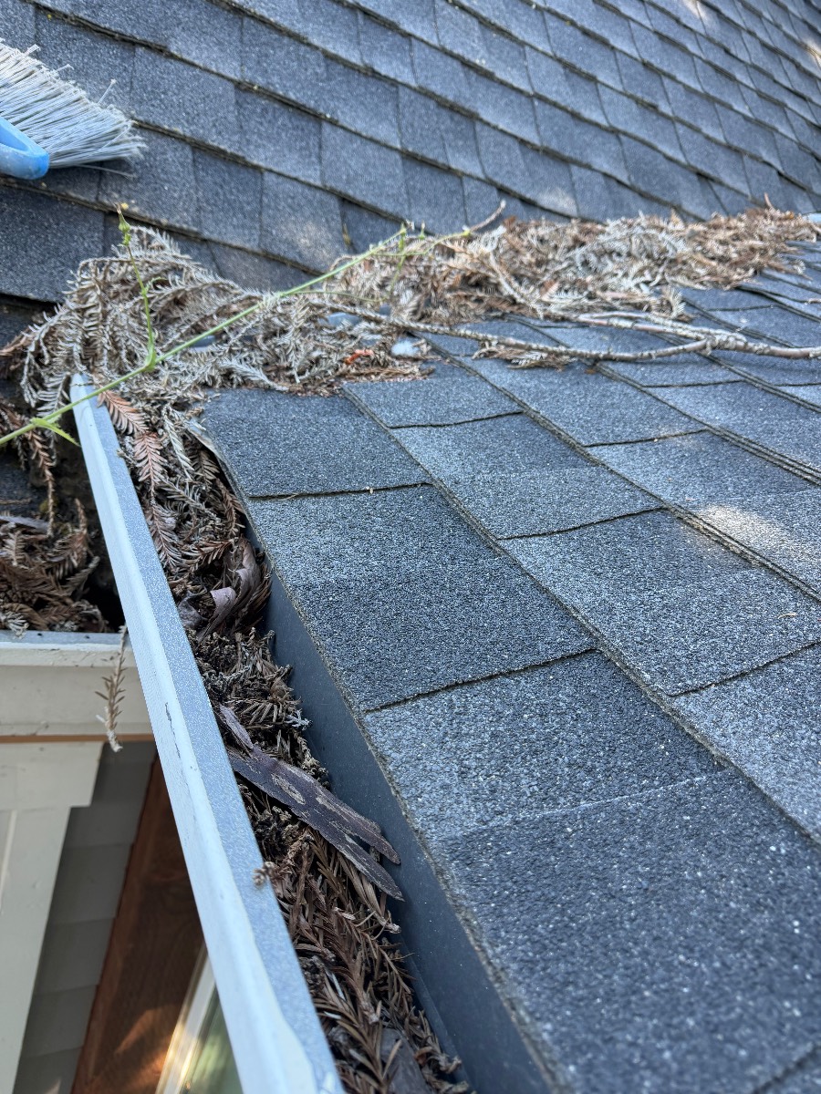 Handyman Project Santa Clara CA clean gutter