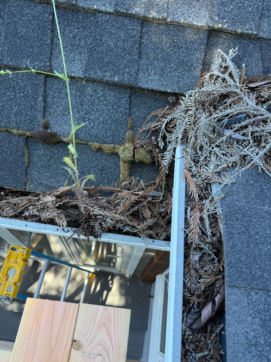 Handyman Project Santa Clara CA clean gutter