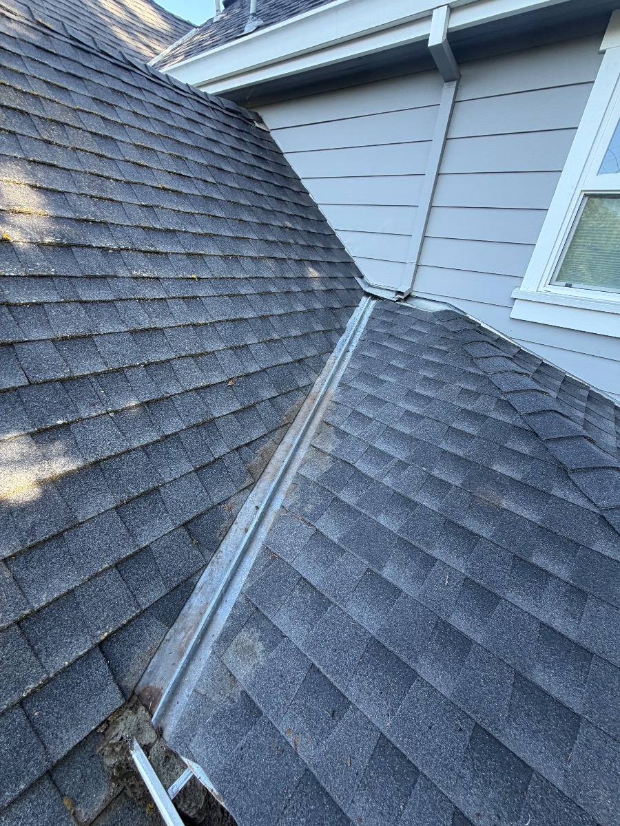 Handyman Project Santa Clara CA clean gutter