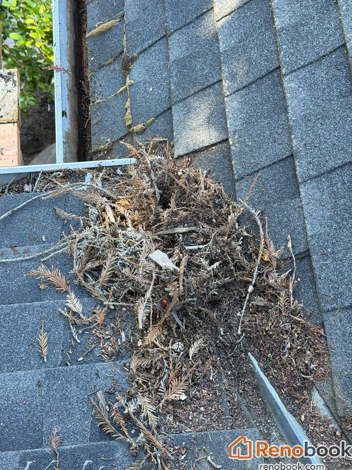 Handyman Project Santa Clara CA clean gutter