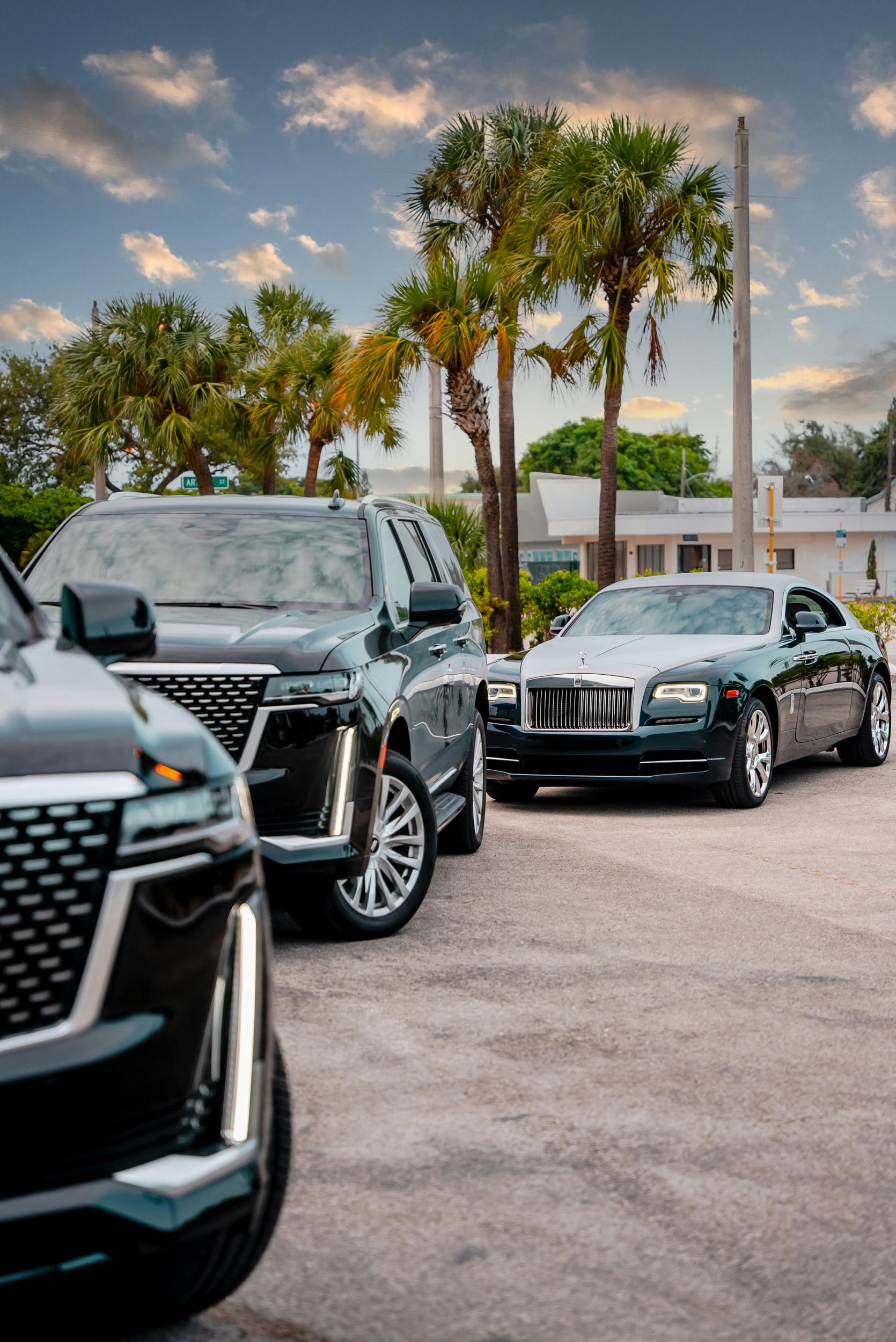 pexels paashuu 16052841