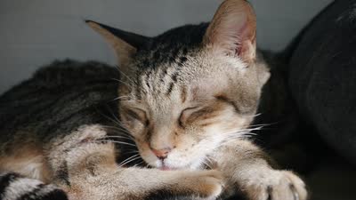 Cinematic Full HD Video Footage