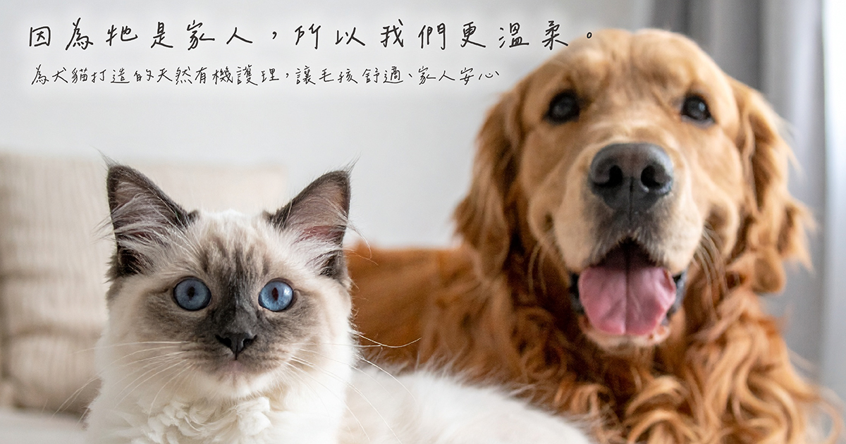 2026 寵物經濟商機：如何透過「人寵共用」植萃洗護代工打造品牌差異化？