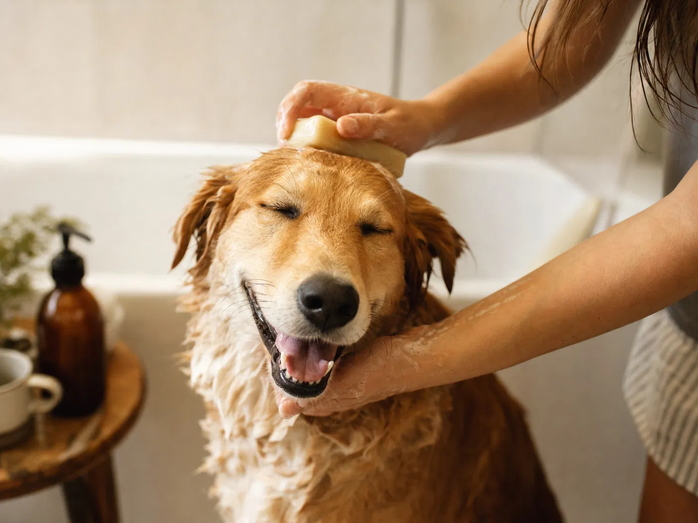 Hund wird mit der Fellnase Hundeseife gewaschen – natürliche Alternative zum Hundeshampoo