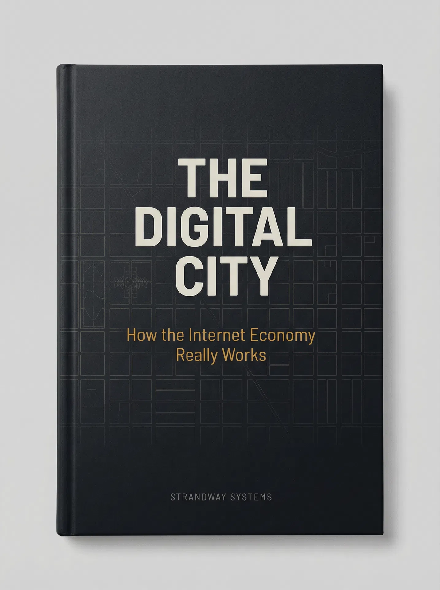 The Digital City book cover