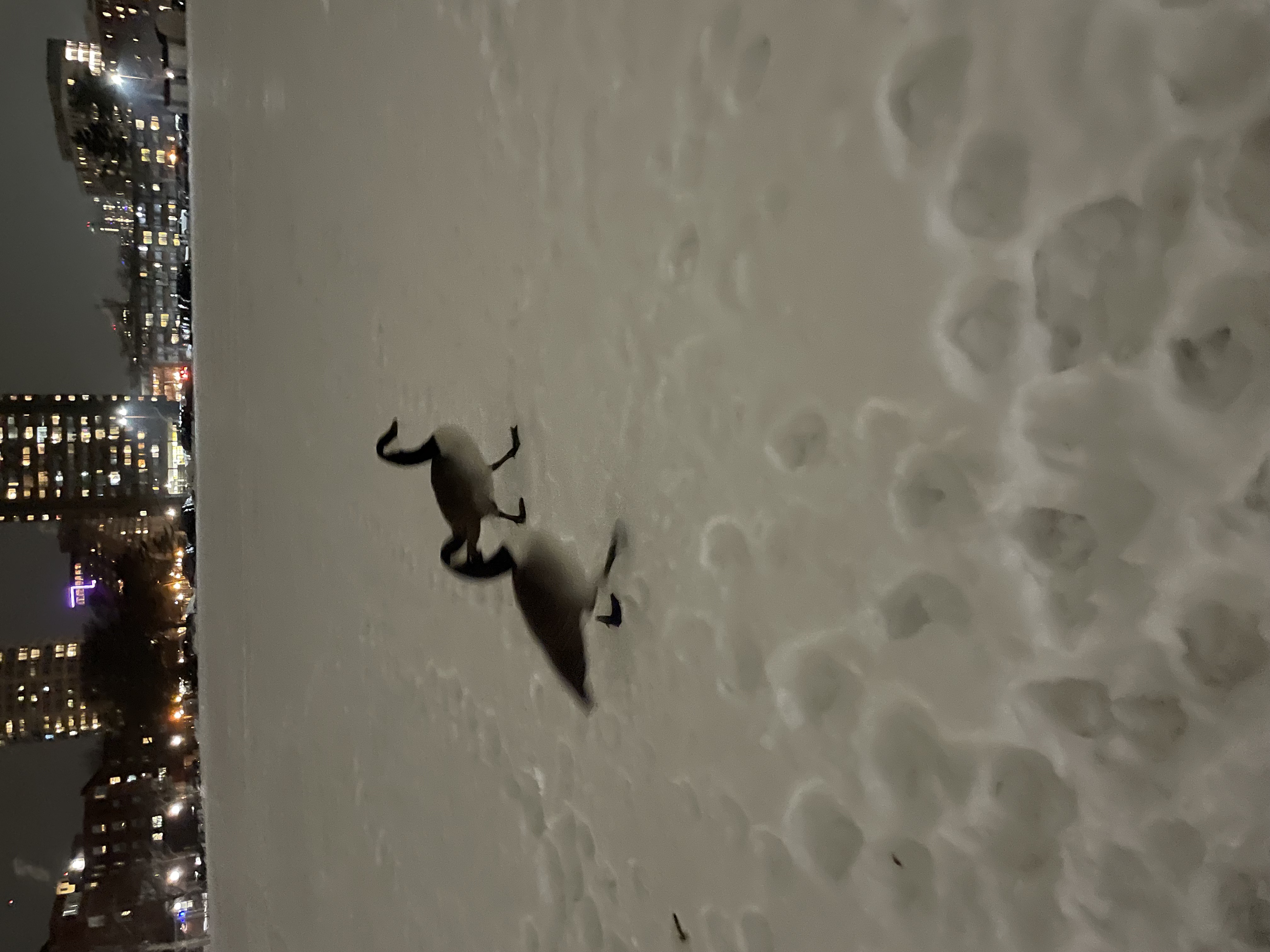 함께 걸어가는 제자의 길