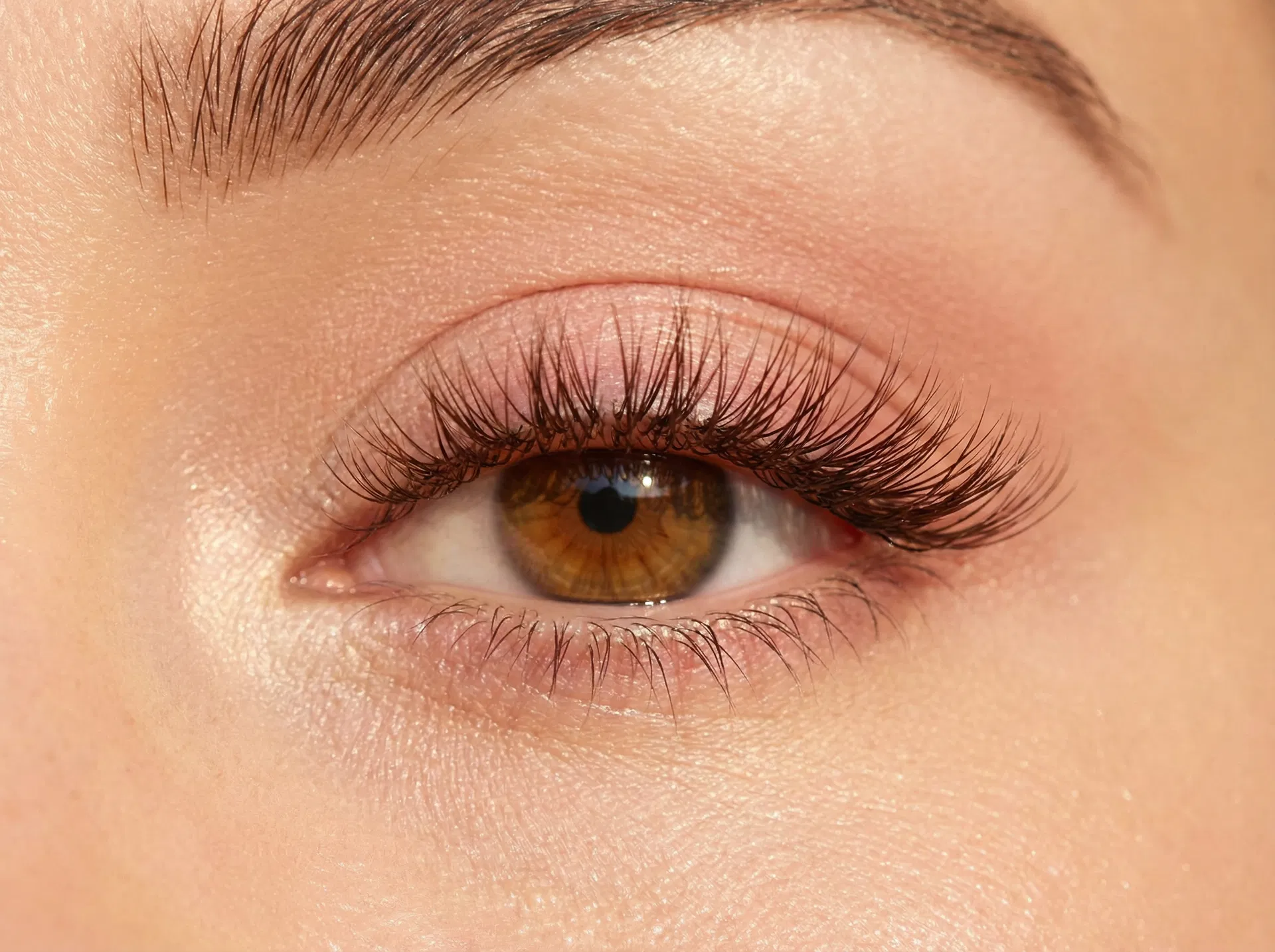 Perfect lash extensions close-up
