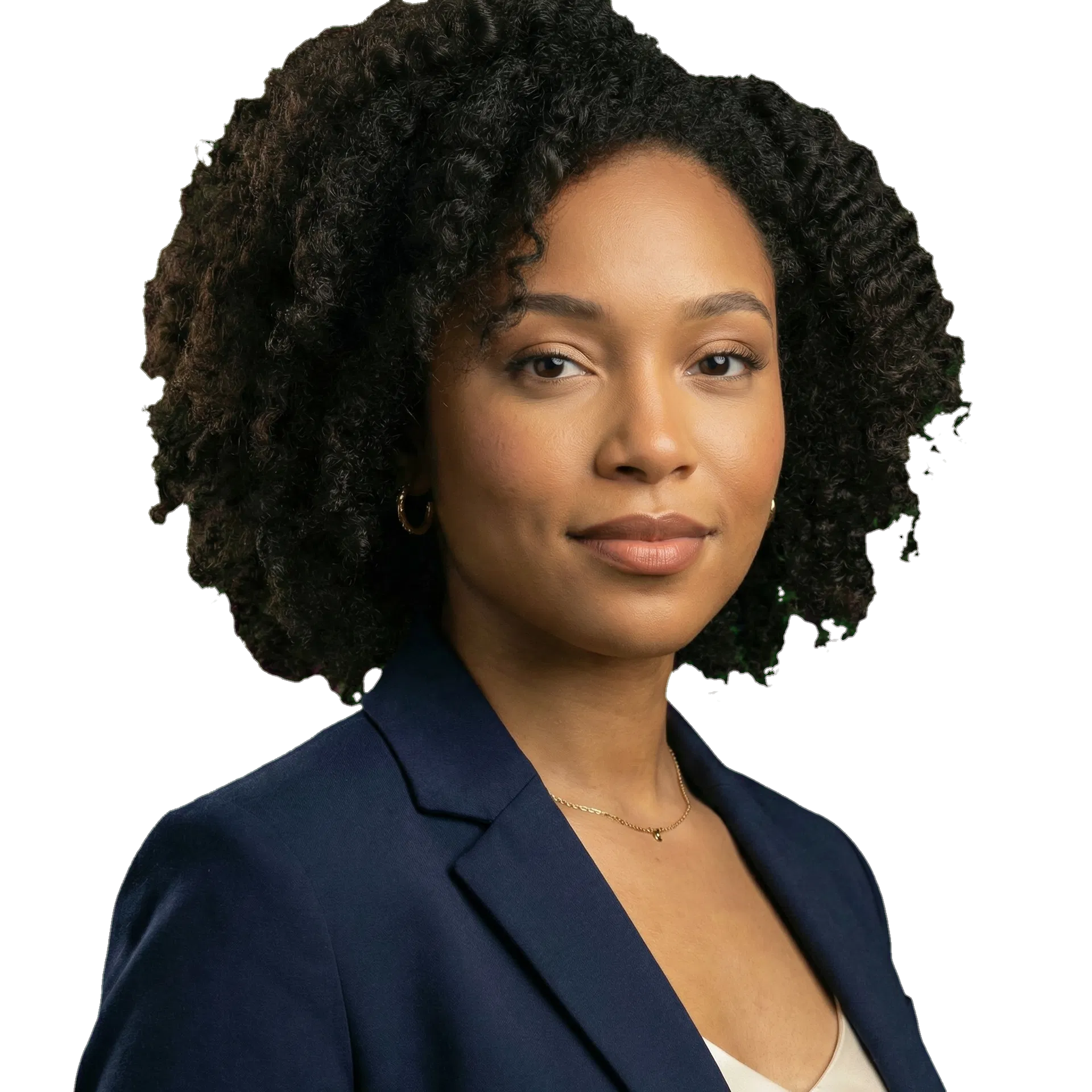 Podcast media advisor