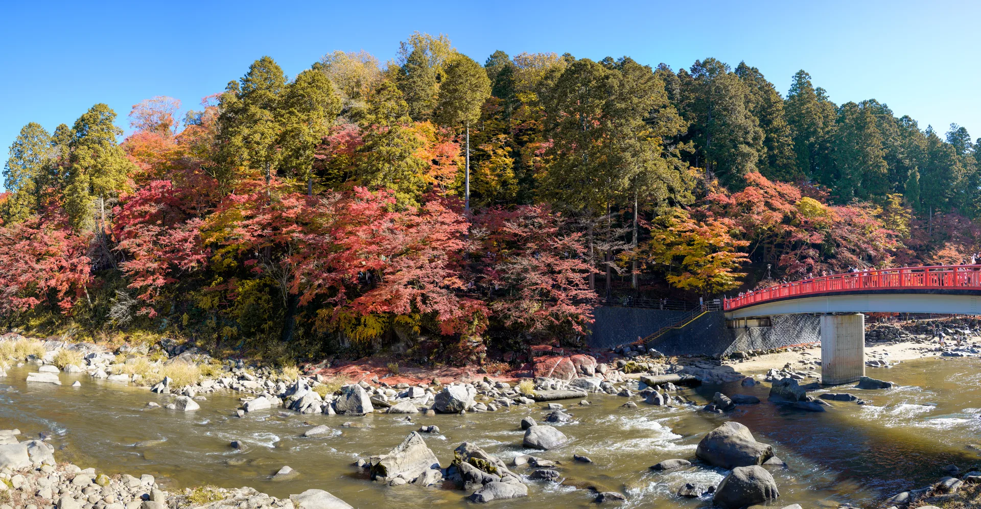 日本│關中、京都深度賞楓9天