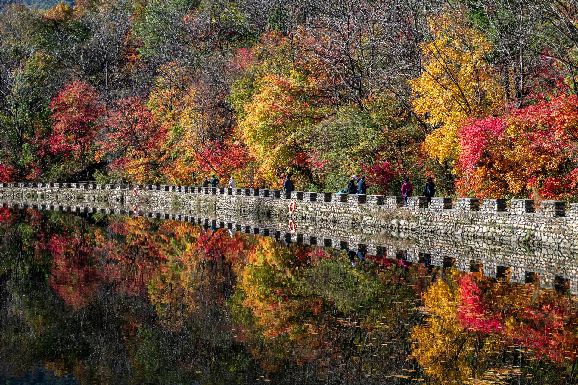 東北│關門山、天橋溝、蒲石河紅葉 8+1 天