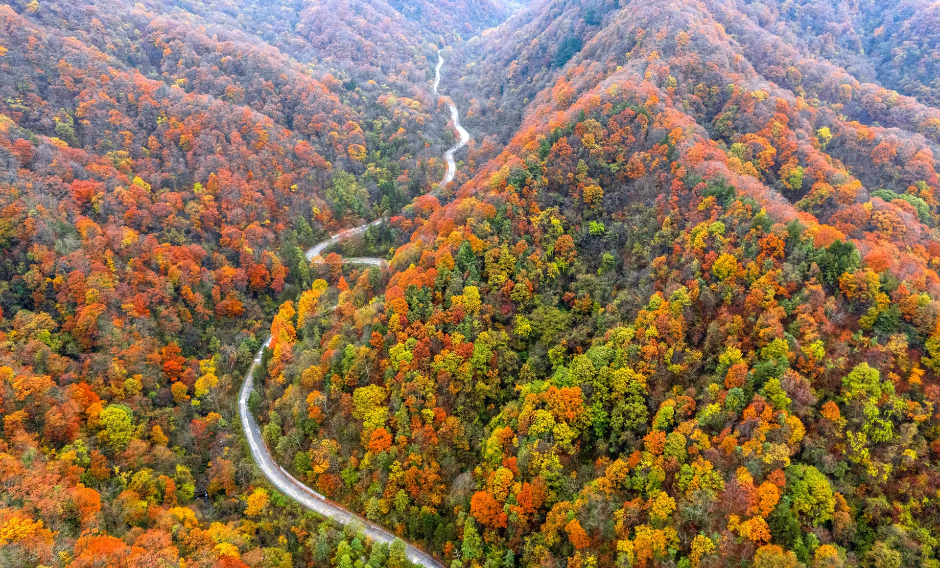 陝西│秦嶺紅葉⾧廊10+1天