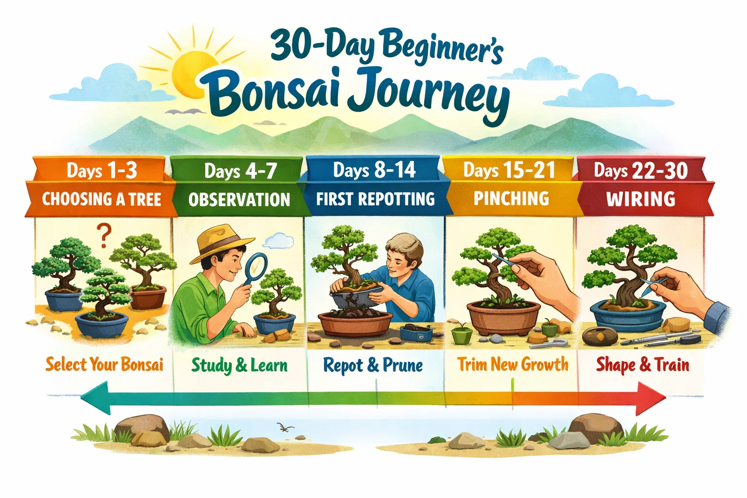 Timeline de 30 días para principiantes