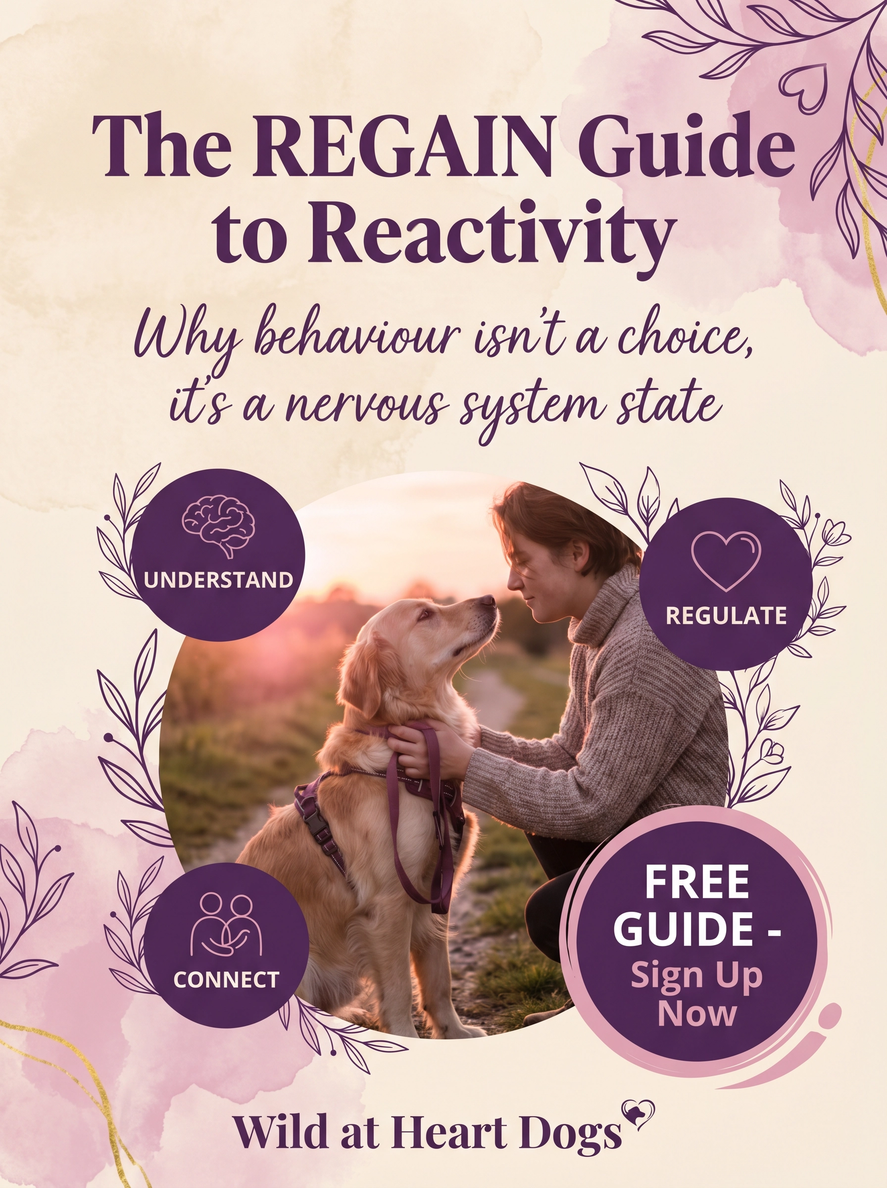 The REGAIN Guide to Reactivity
