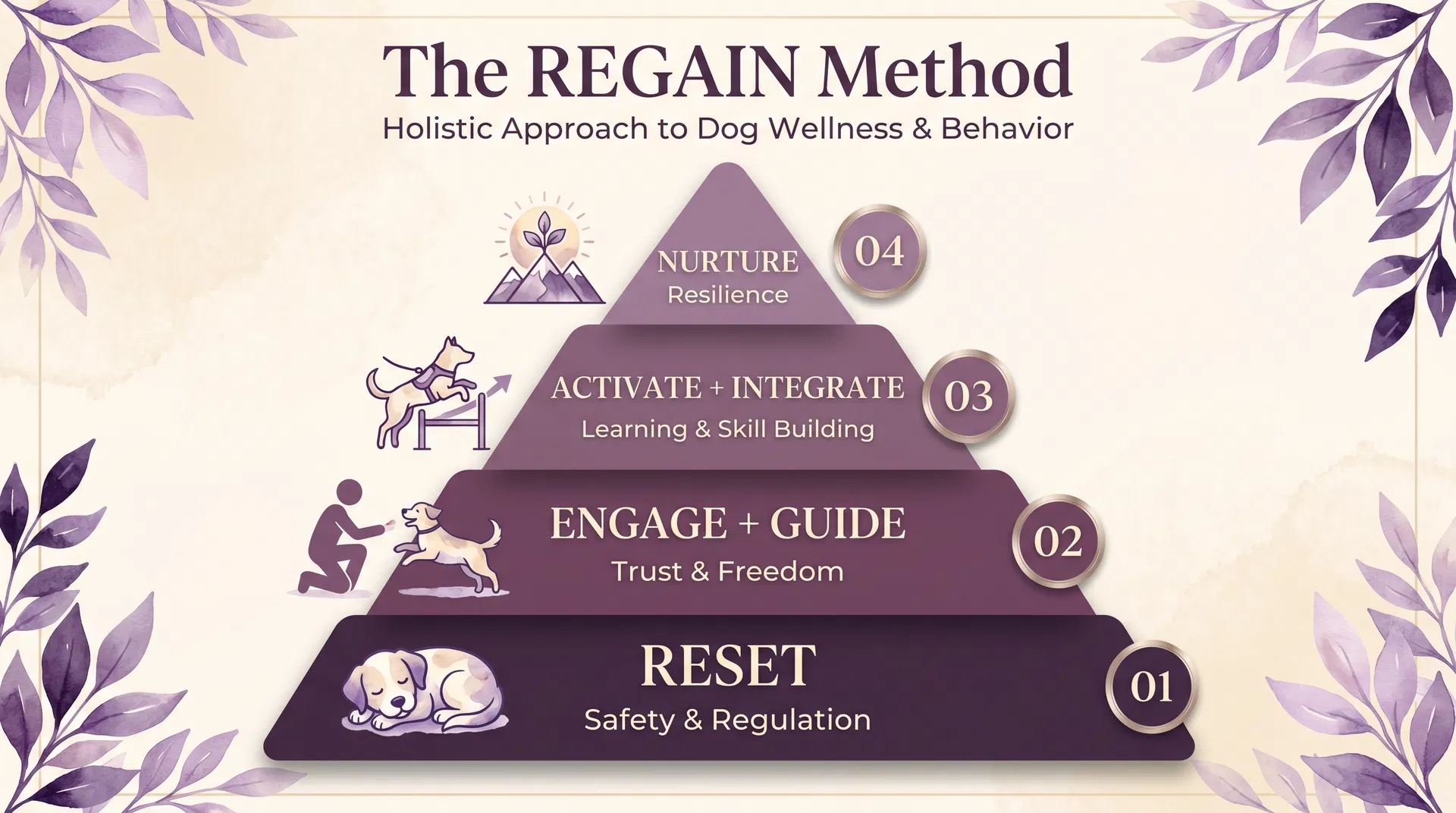 The REGAIN Method - 4 Level Pyramid: Reset (Safety & Regulation), Engage + Guide (Trust & Freedom), Activate + Integrate (Learning & Skill Building), Nurture (Resilience)