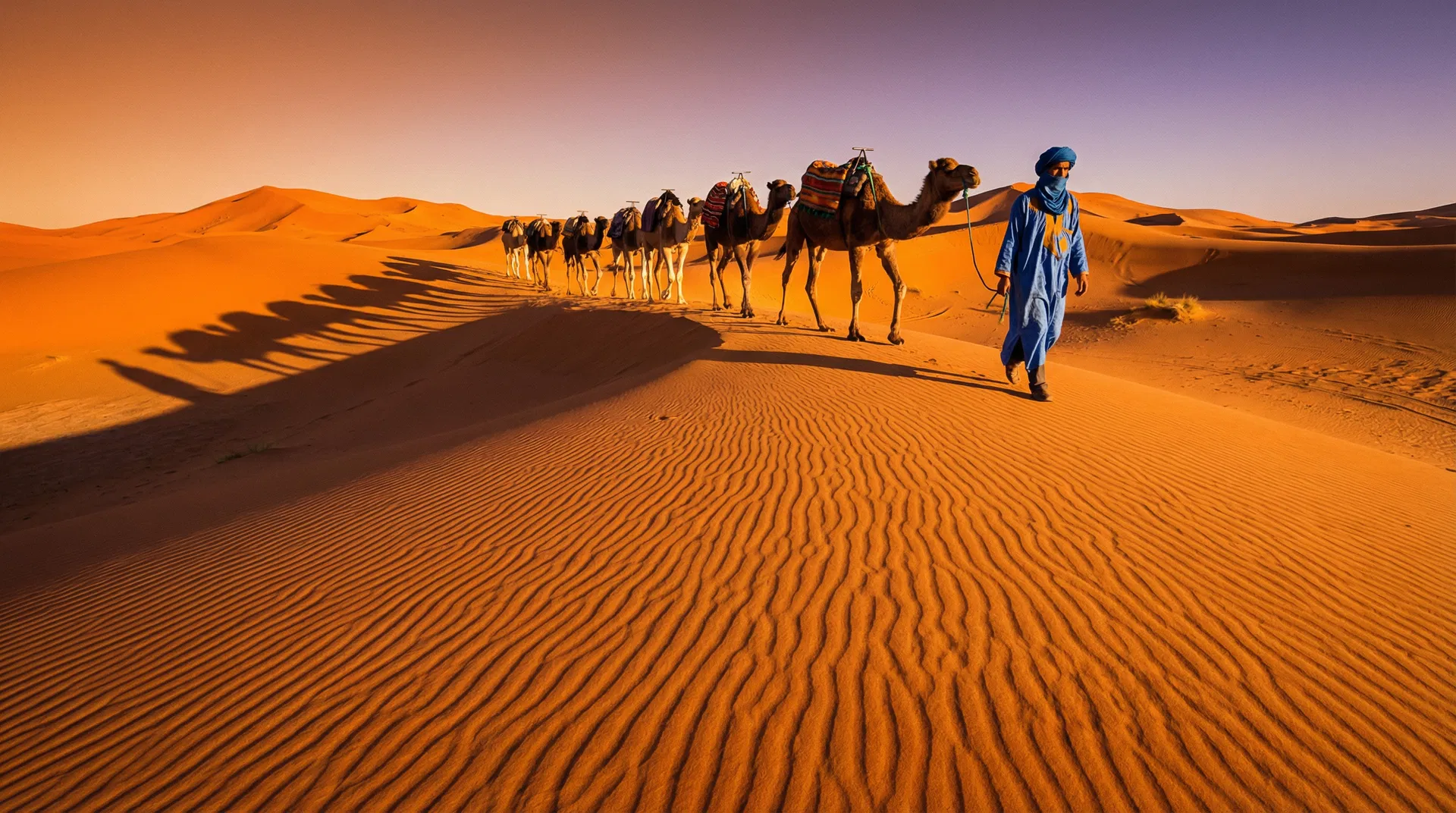 Marrakech Desert Tours: Everything You Need to Know