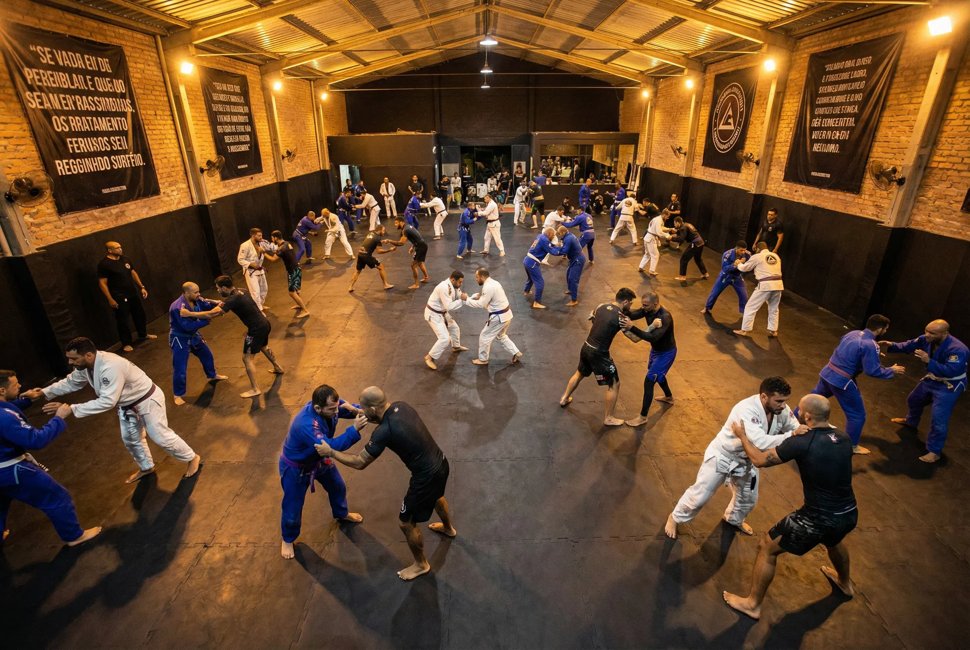 Adultes Gi & NoGi Tous Niveaux