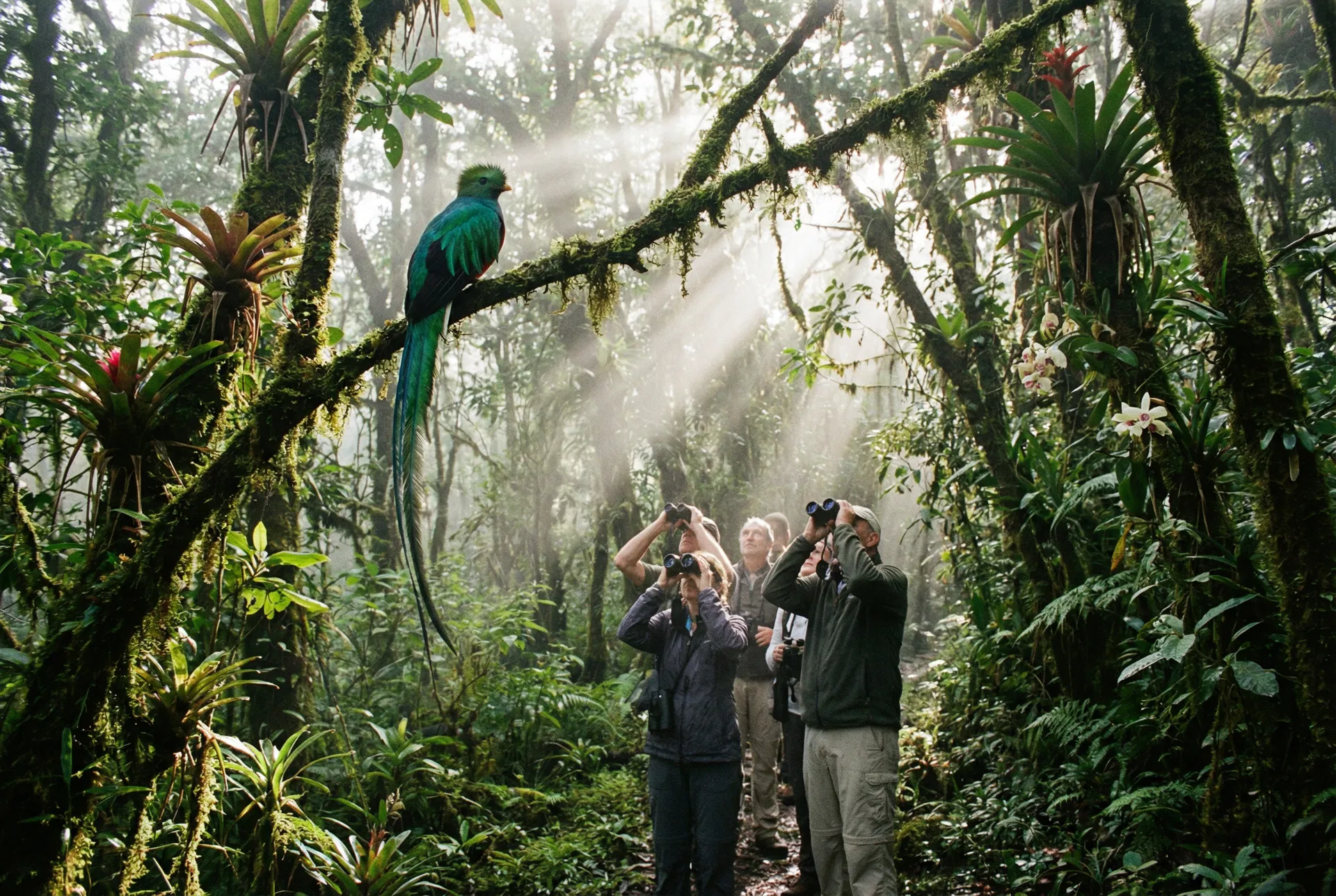 Birding & Biodiversity Explorer