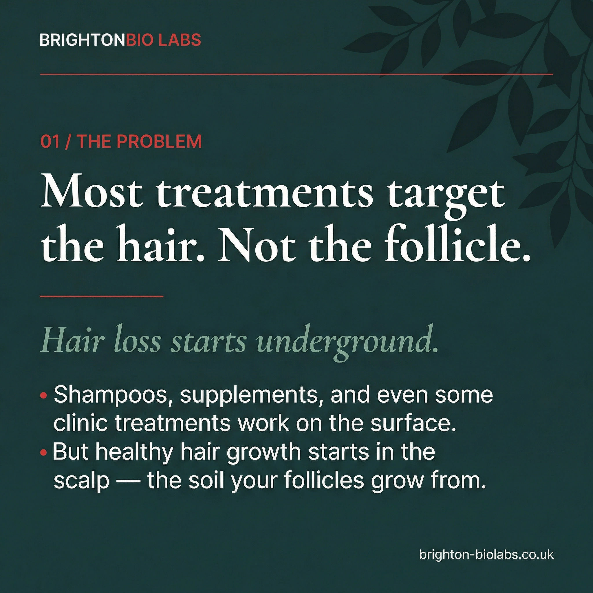 Slide 2: The Problem