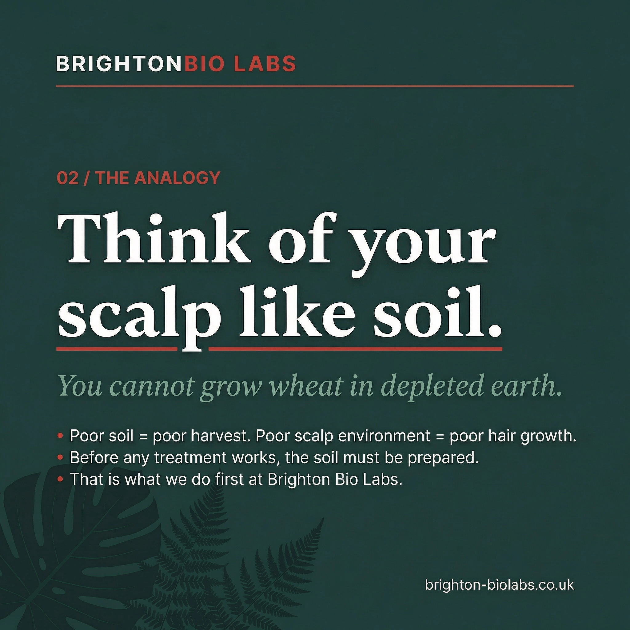 Slide 3: The Analogy