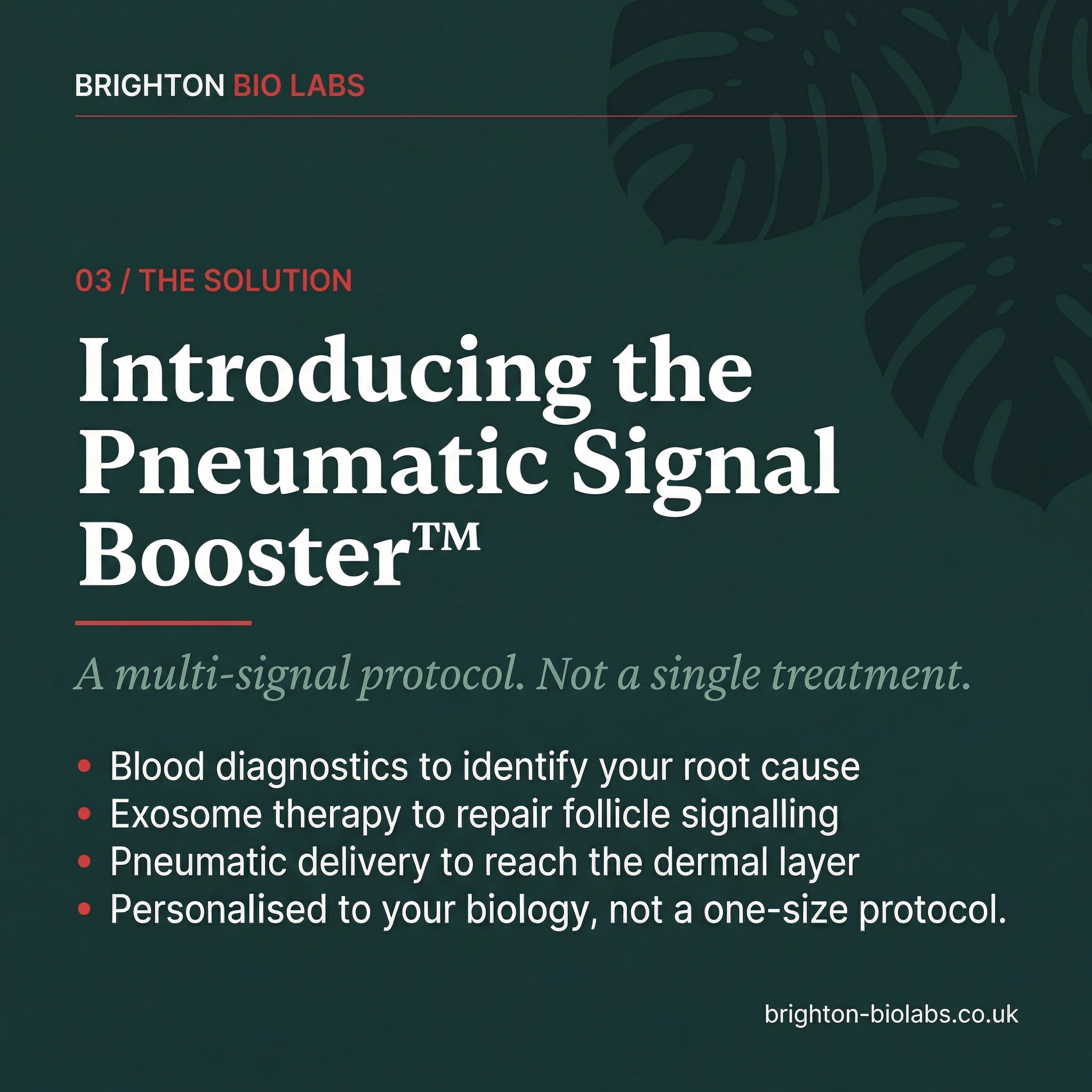 Slide 4: The Solution