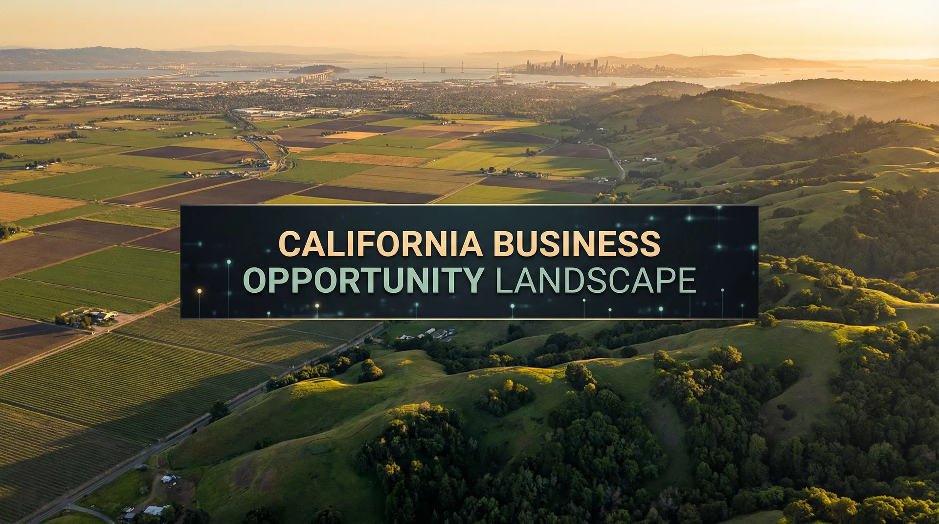 California Business Landscape