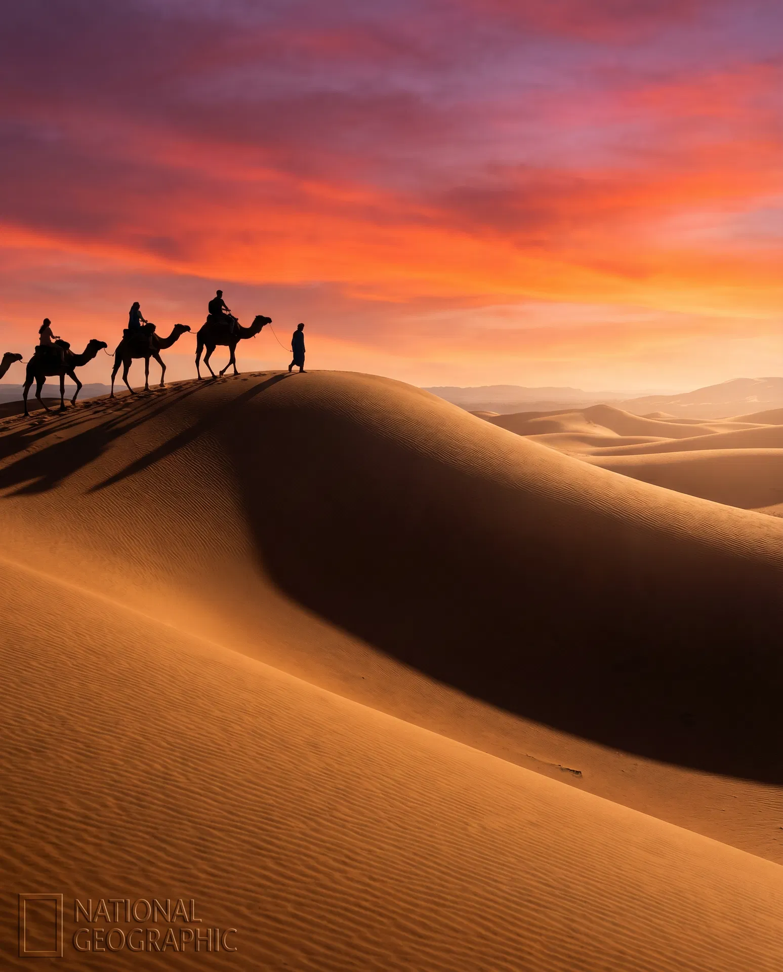 The Silence of the Sahara