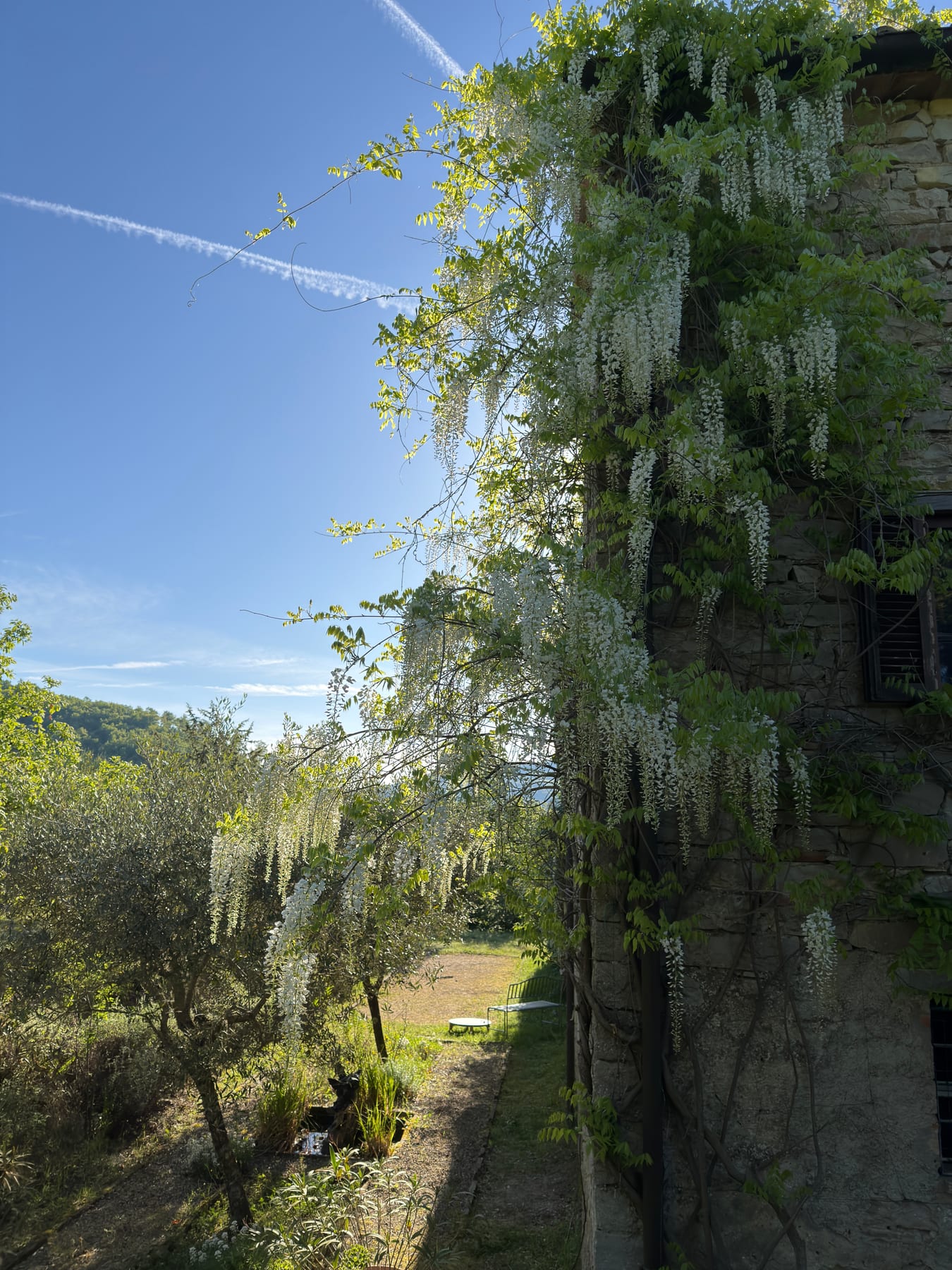 Villa Casa La Dogana