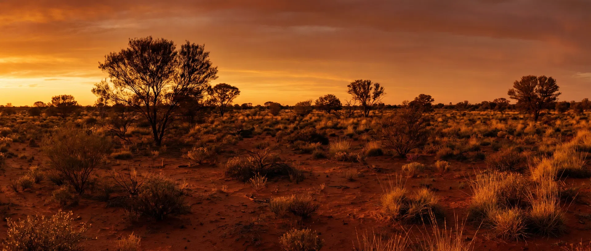 Goldfields landscape at dusk, Kalgoorlie