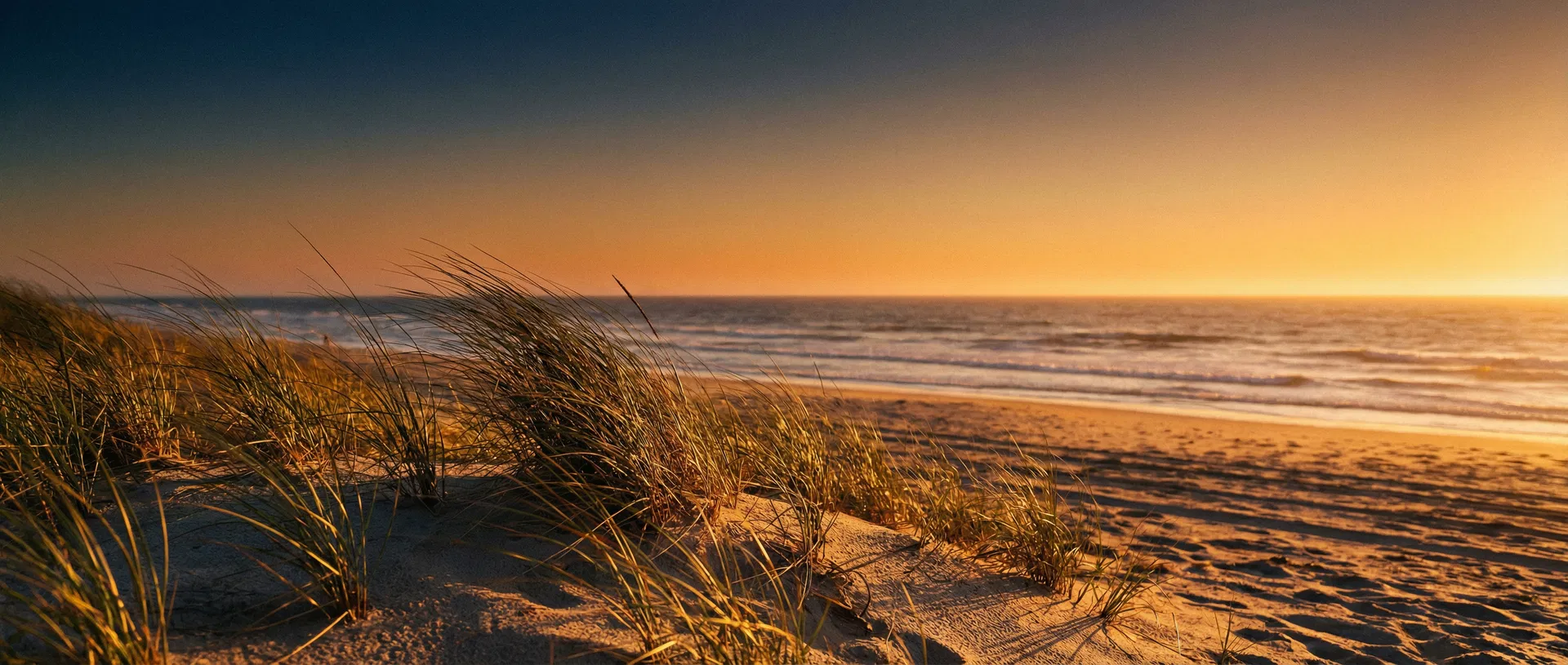 Cape Cod coastline at sunset