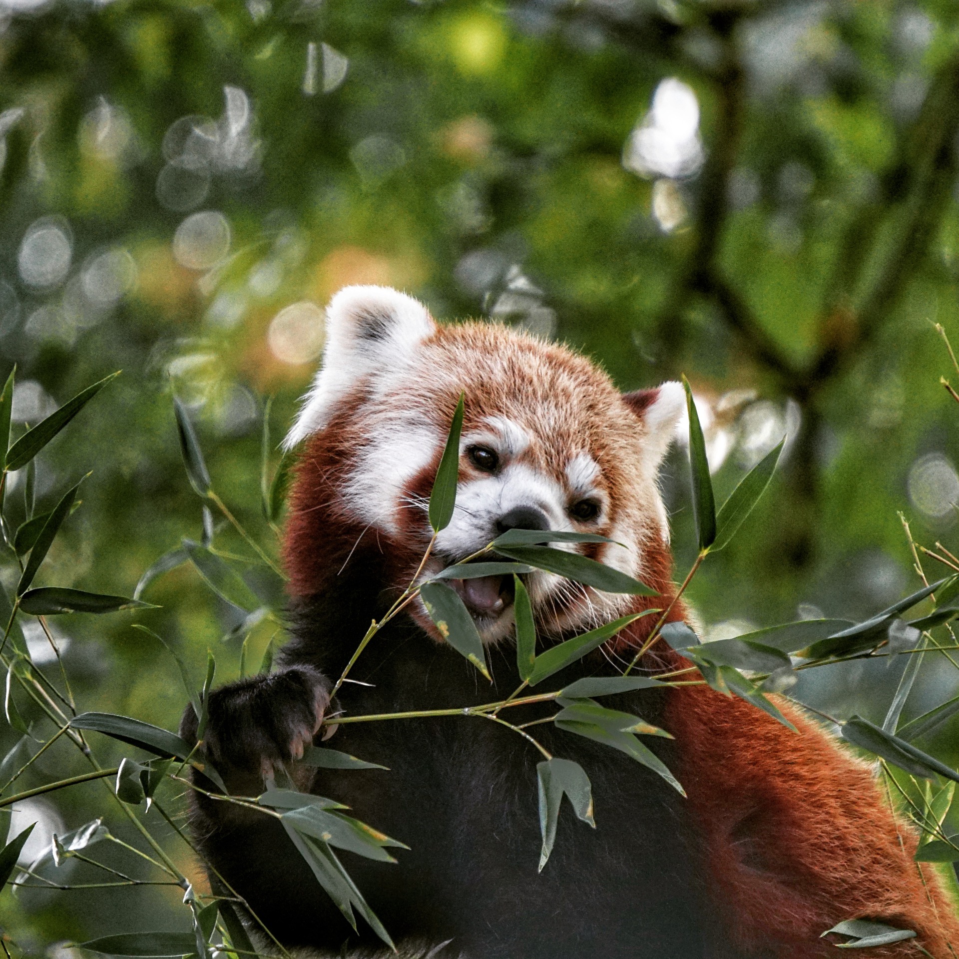 Der Dortmunder Zoo hat viele Tiere zu besichtigen.