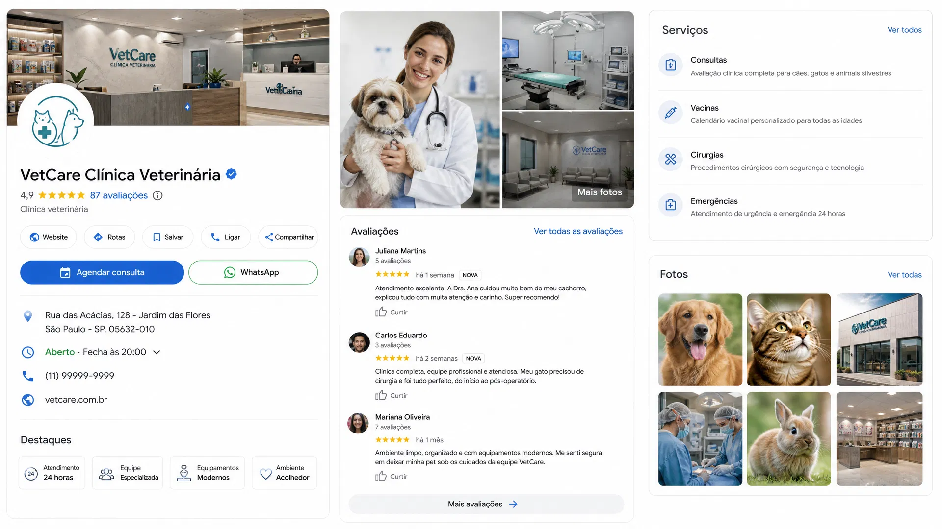Perfil completo de clínica veterinária no Google