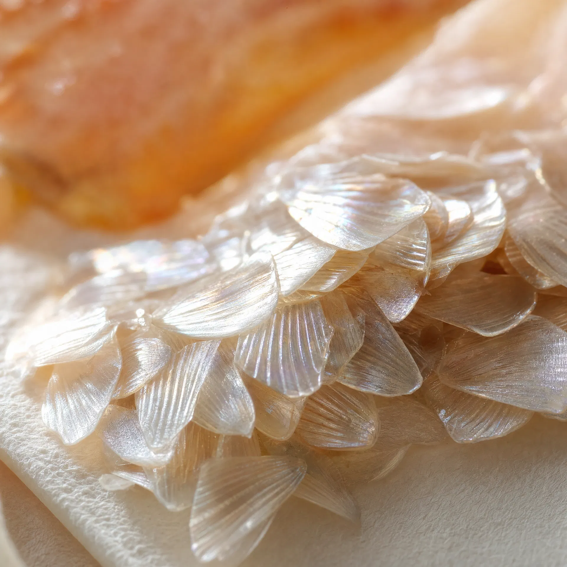 Hydrolysed Marine Collagen — iridescent fish scales macro photography