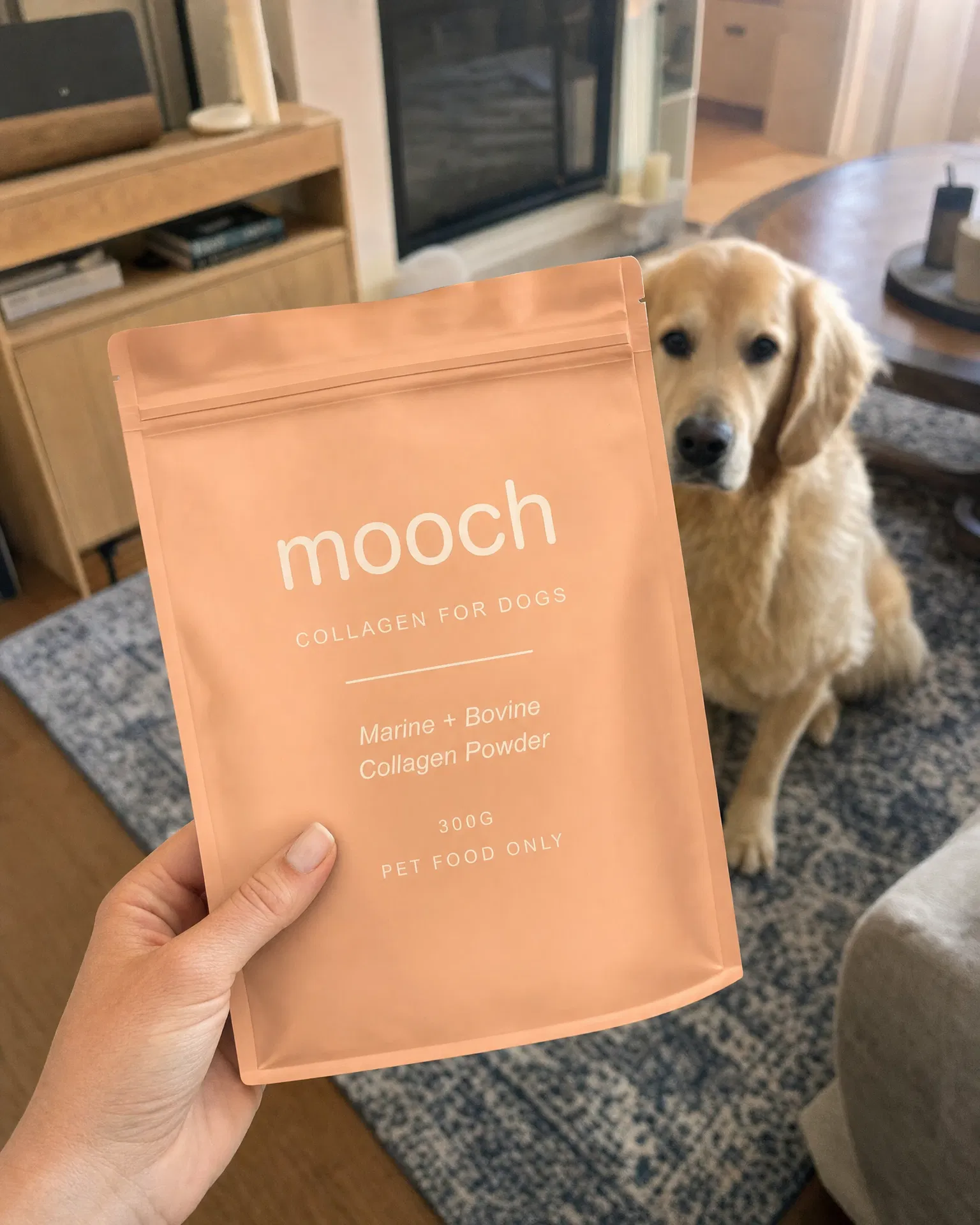 Hand holding Mooch bag with golden retriever
