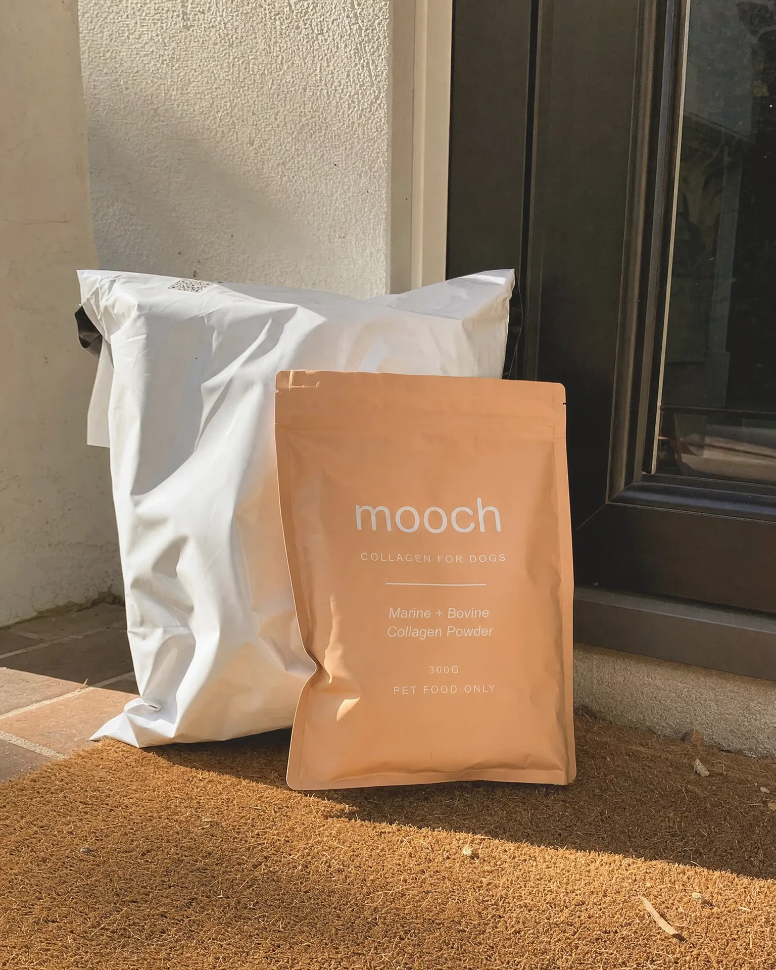 Mooch bag at front door delivery