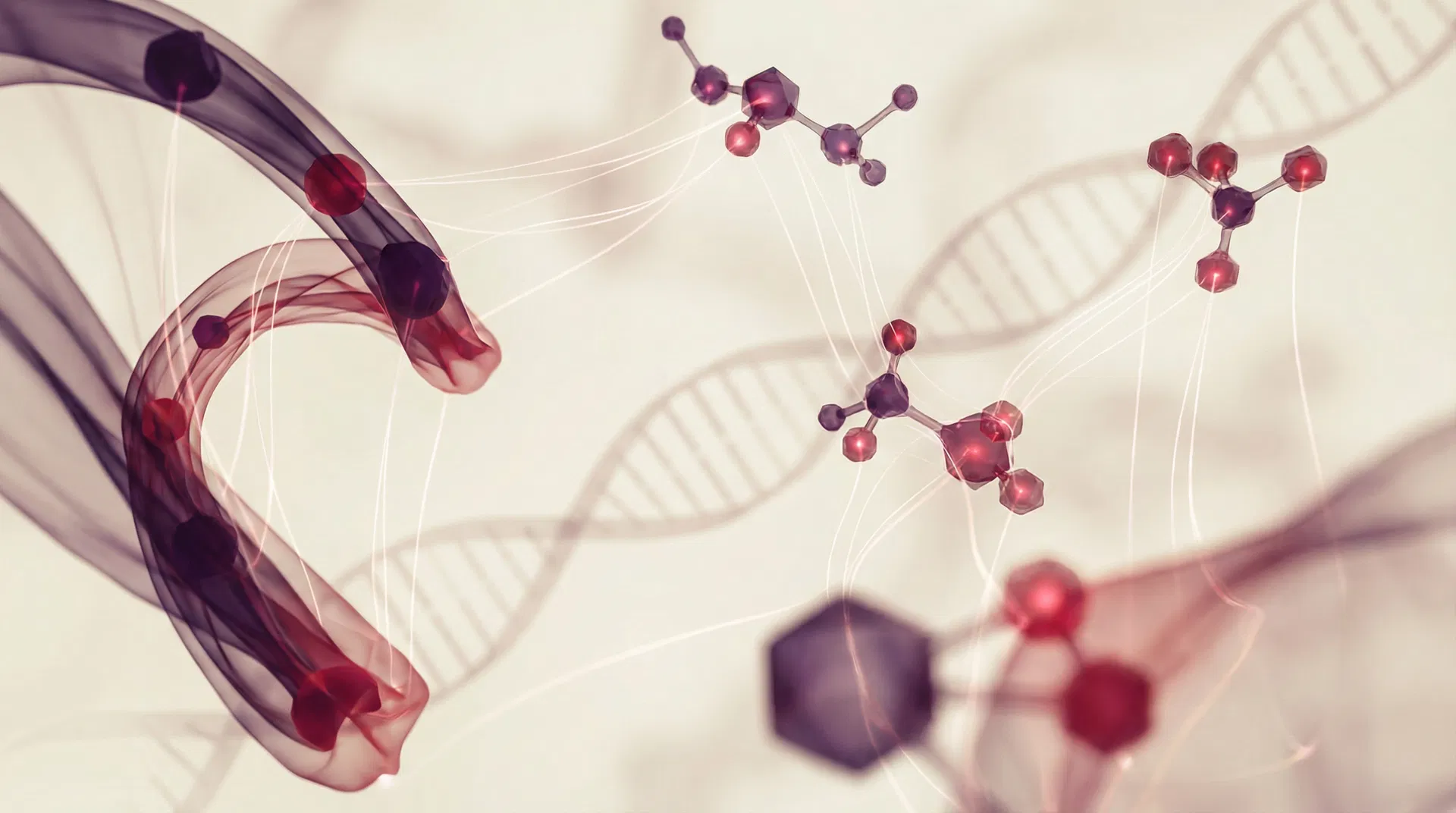 NeuroUp polyphenol molecular science