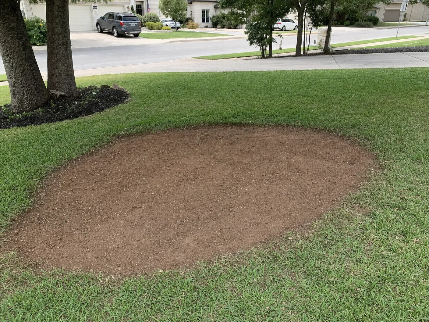Yard after stump removal