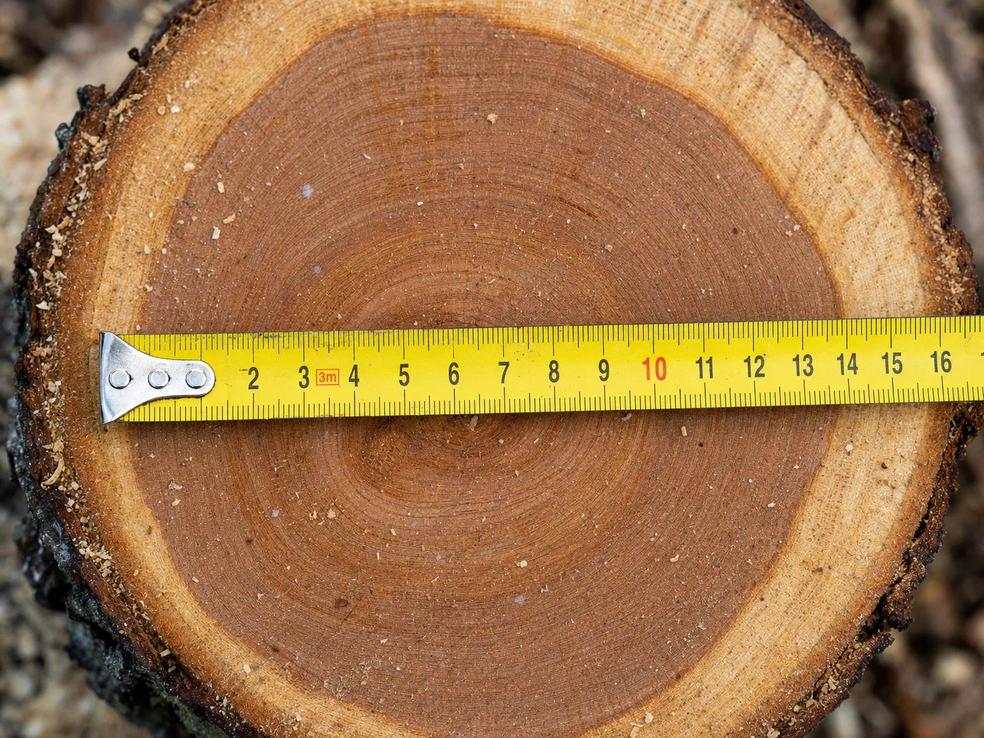 Measure stump diameter