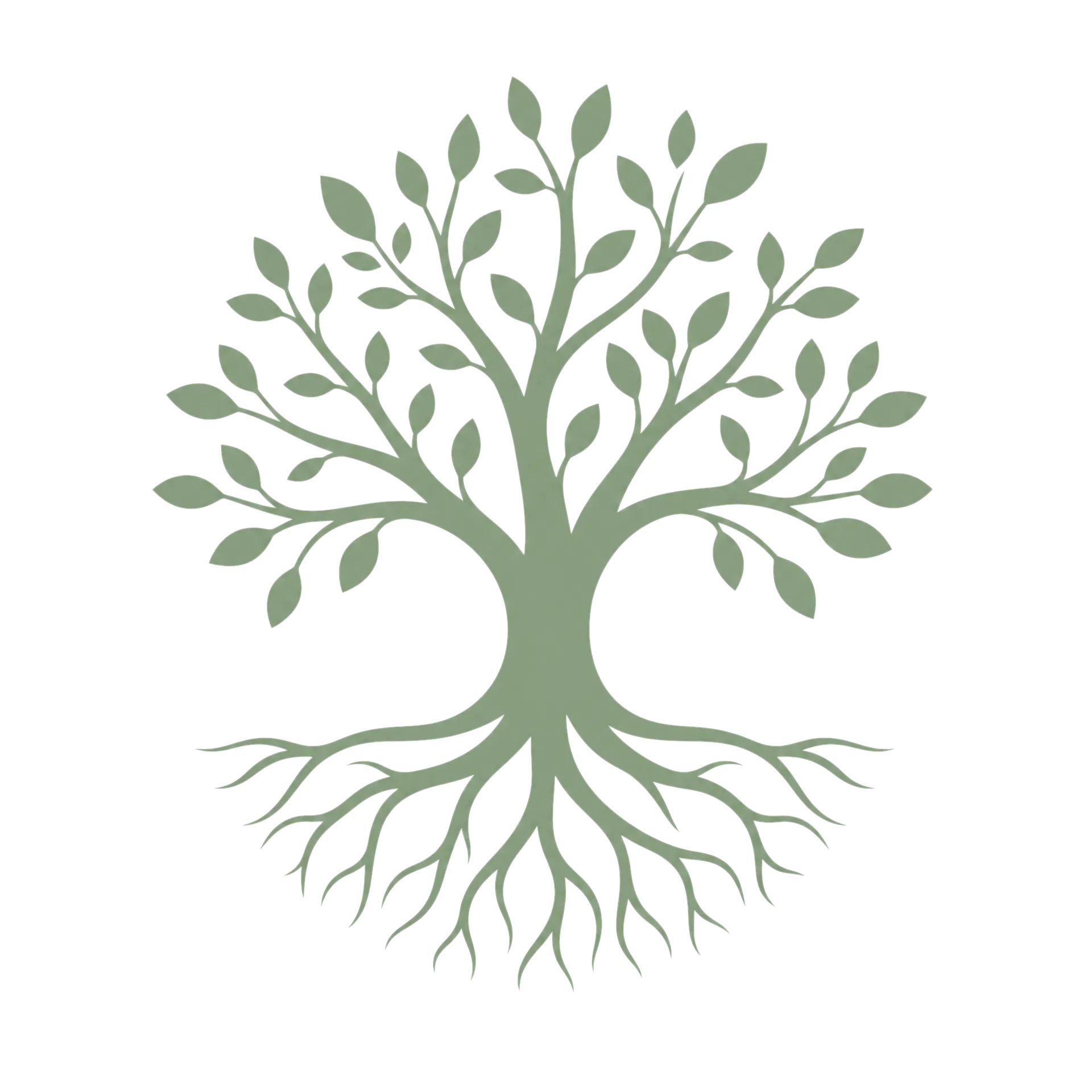 Senior Roots Guide