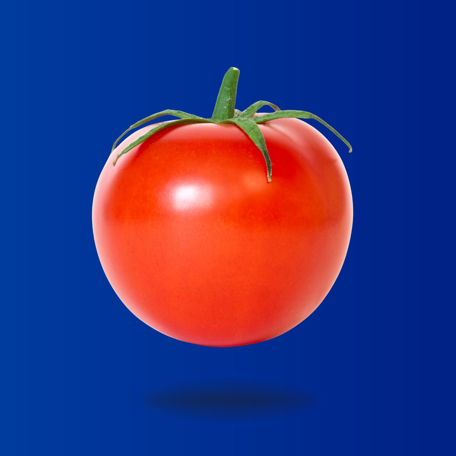 Frutas y Verduras
