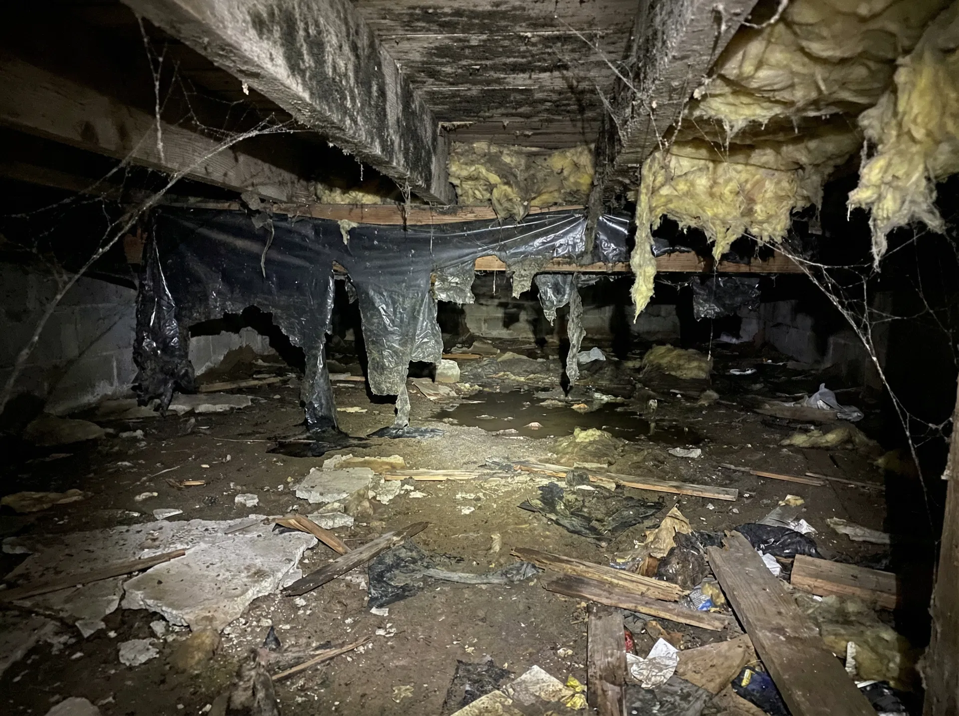 Crawlspace Cleaning