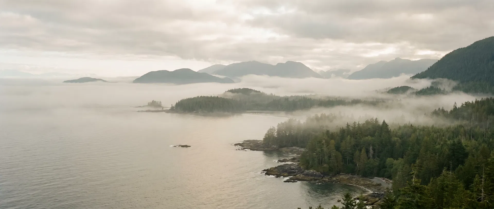 Misty Pacific coastline at dawn