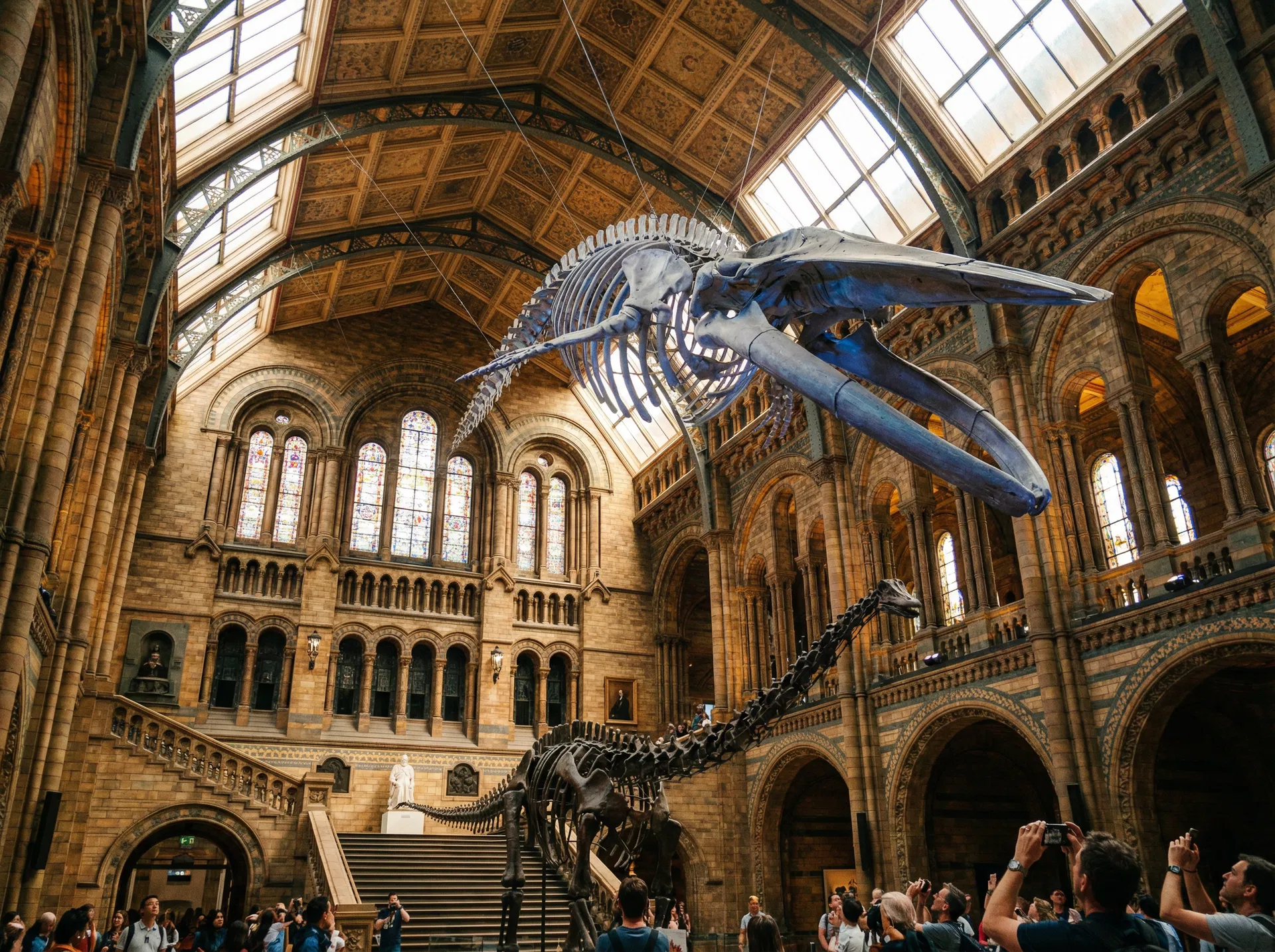 自然历史博物馆专业讲解（散拼团）