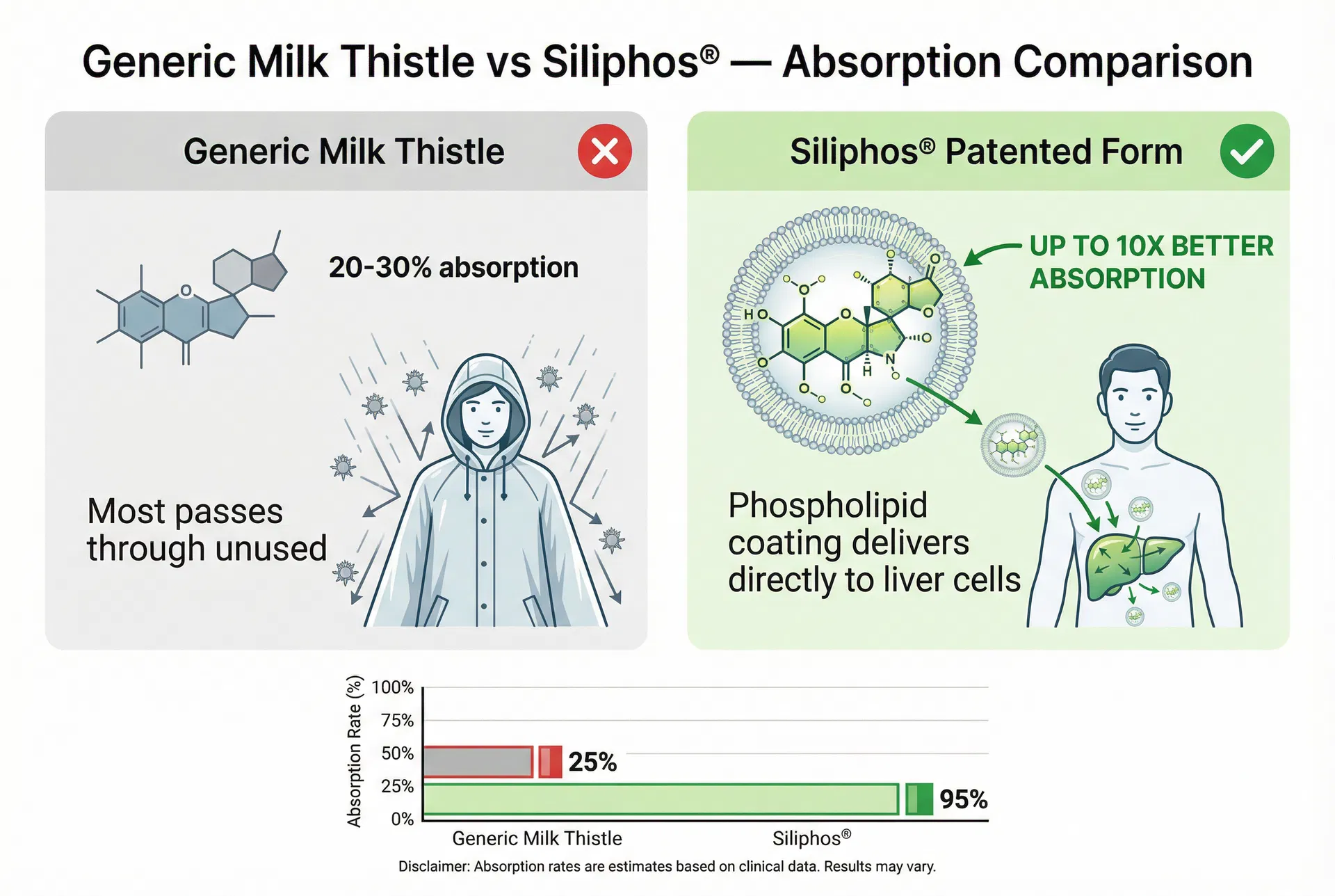 Generic Milk Thistle vs Siliphos absorption comparison