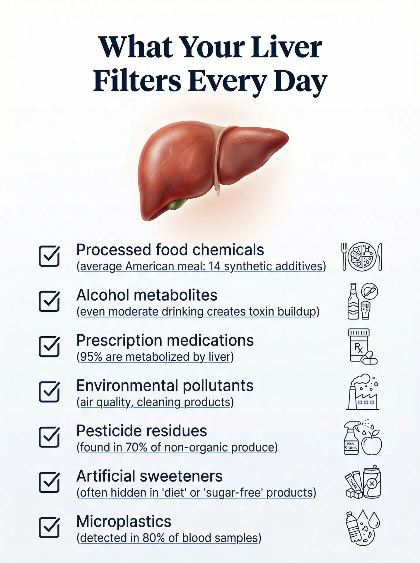 What Your Liver Filters Every Day