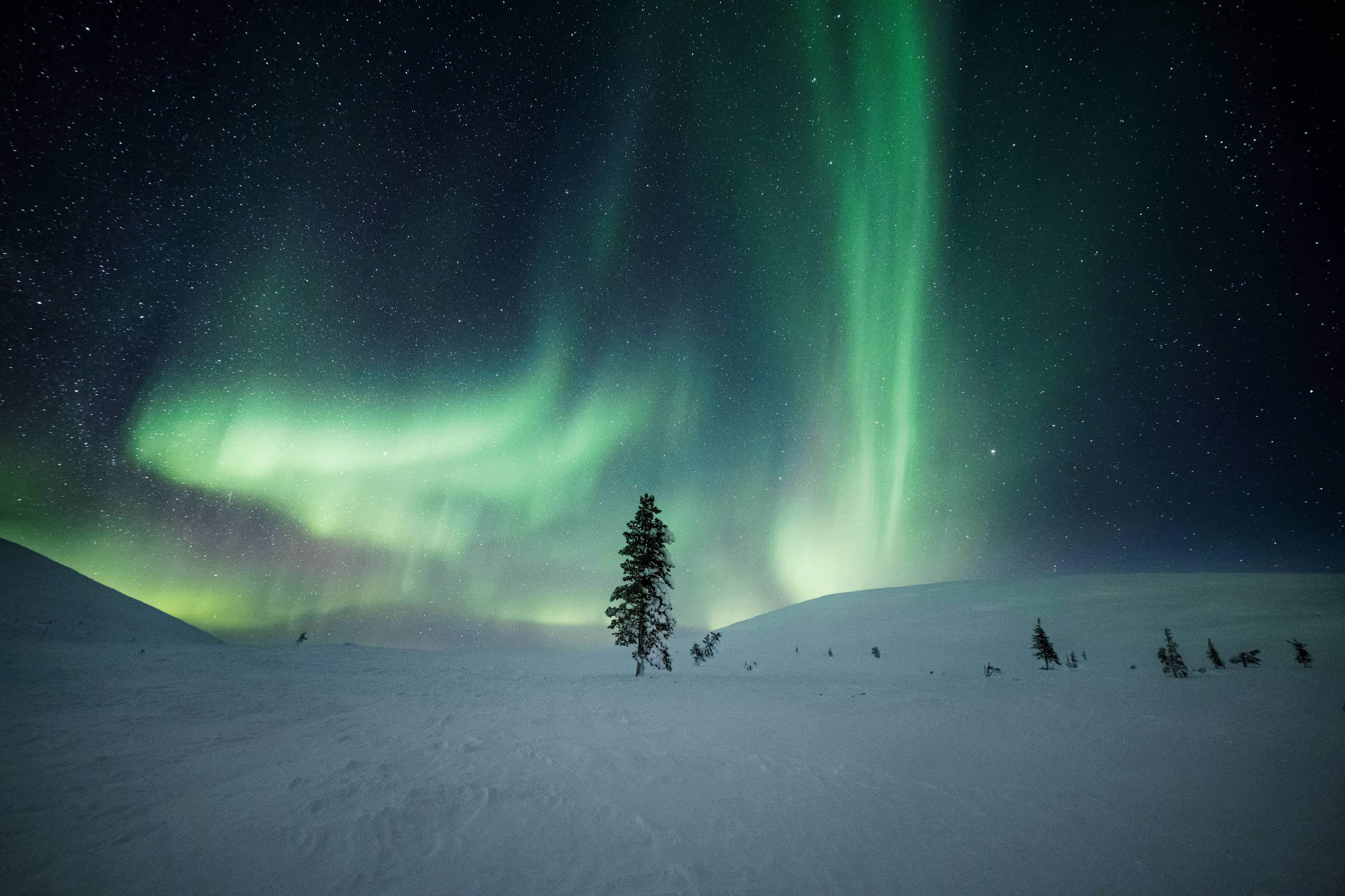 Aurora over snowy landscape