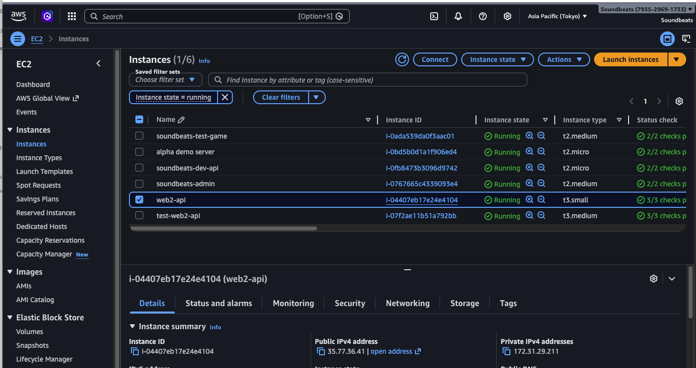 EC2 Instance Details