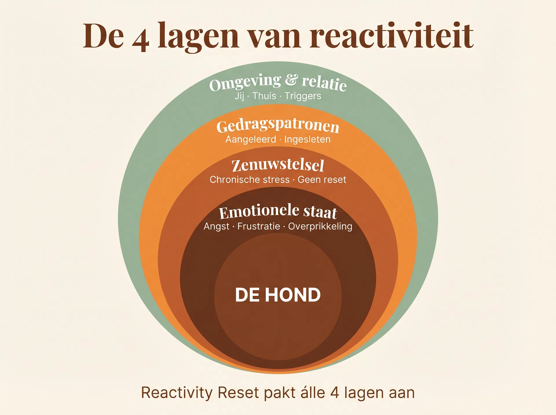 De 4 lagen van Reactivity Reset