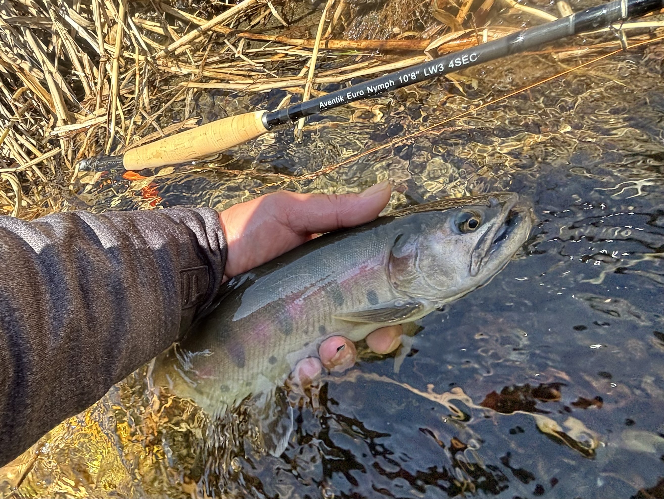 Photo 2 by toshiki iwai