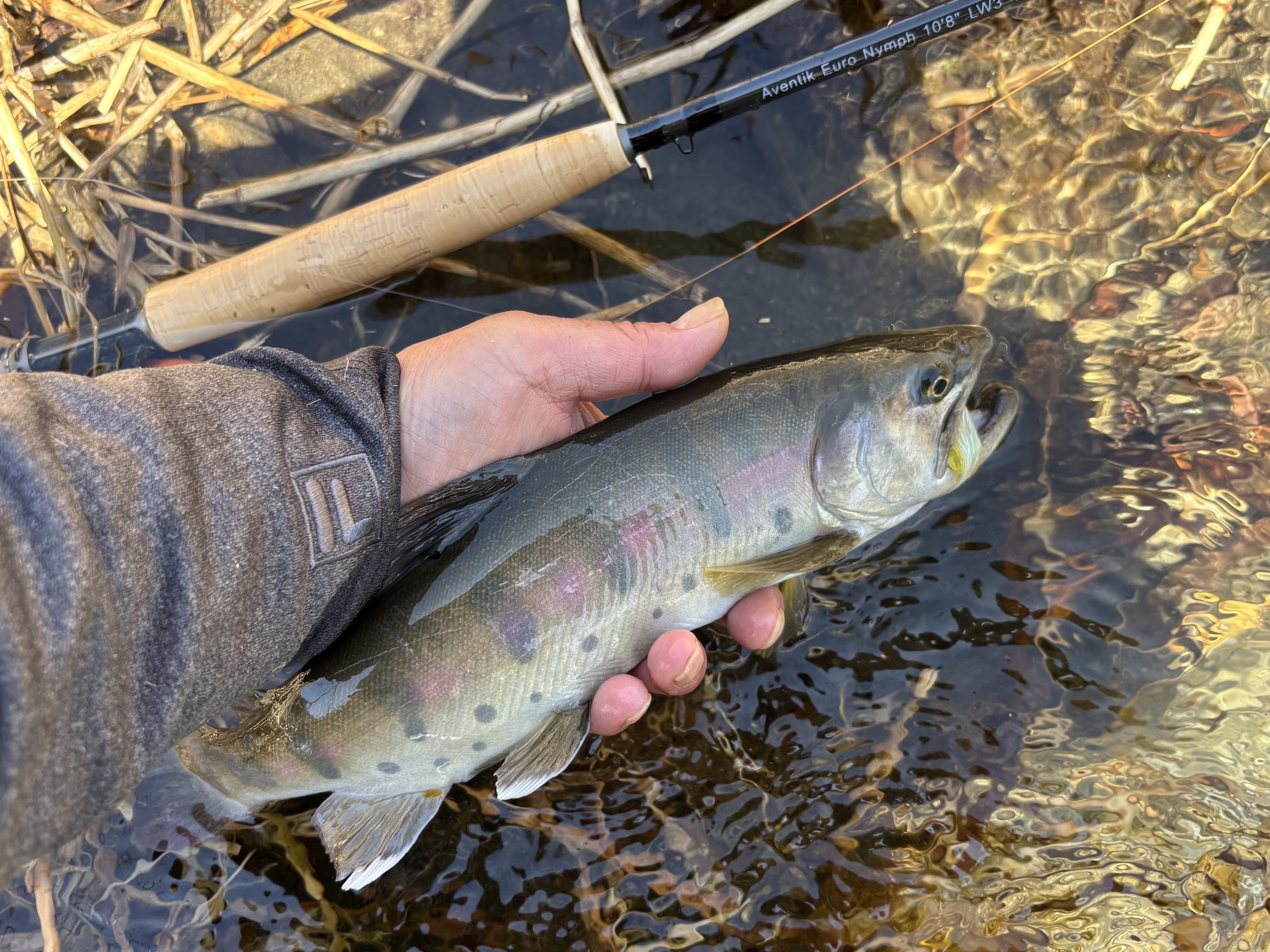 Photo 1 by toshiki iwai