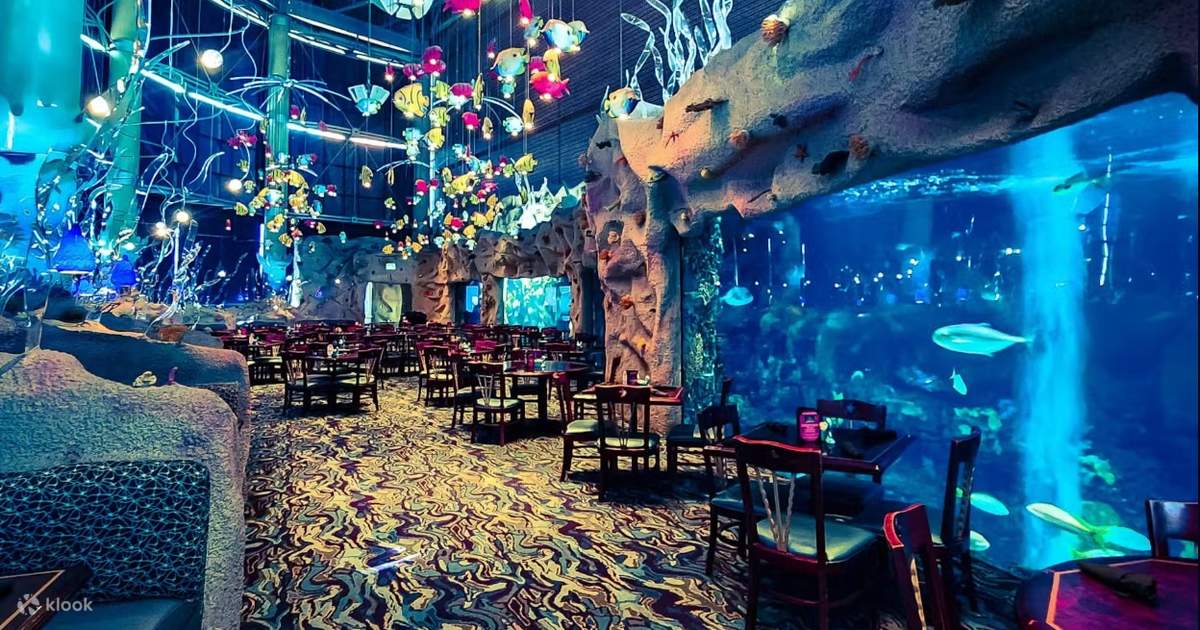 Mystic Mermaids Friday Night Restaurant Shows